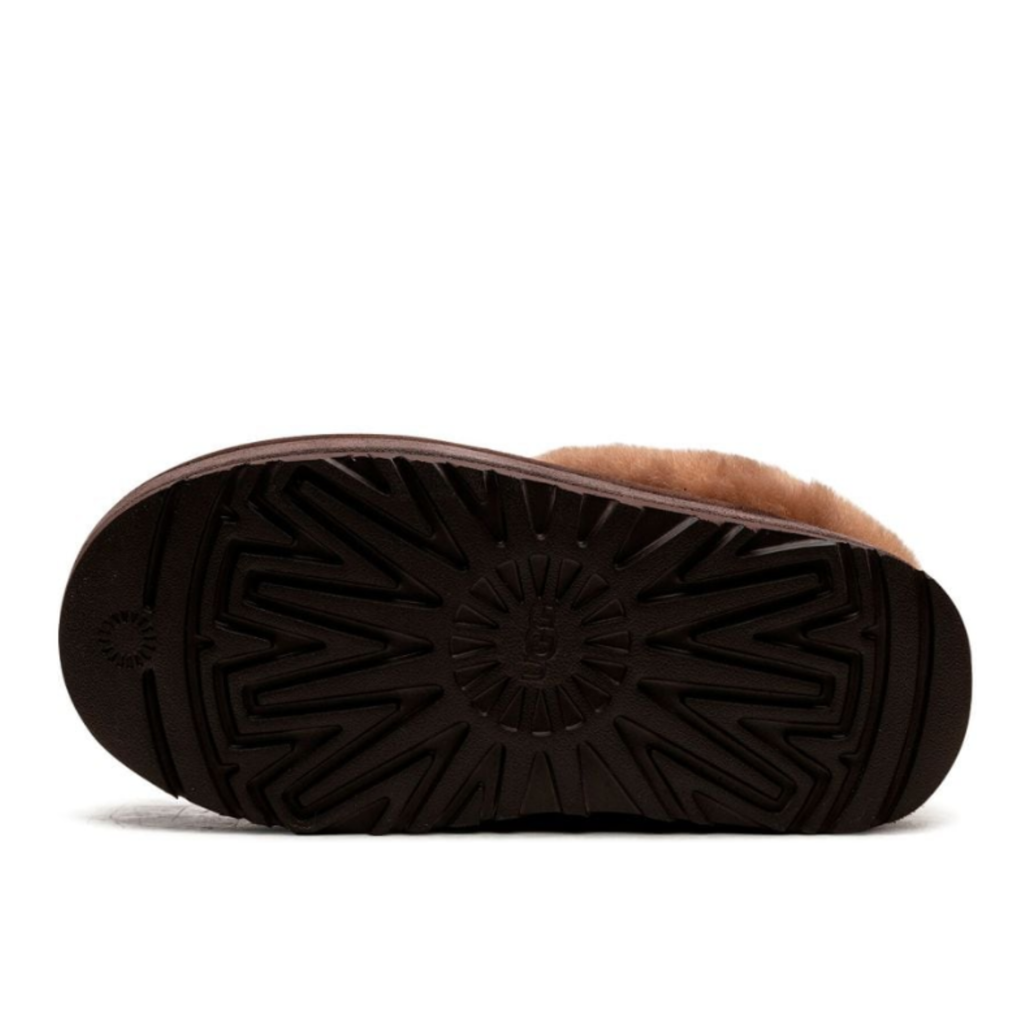 UGG Tazzlita Hardwood