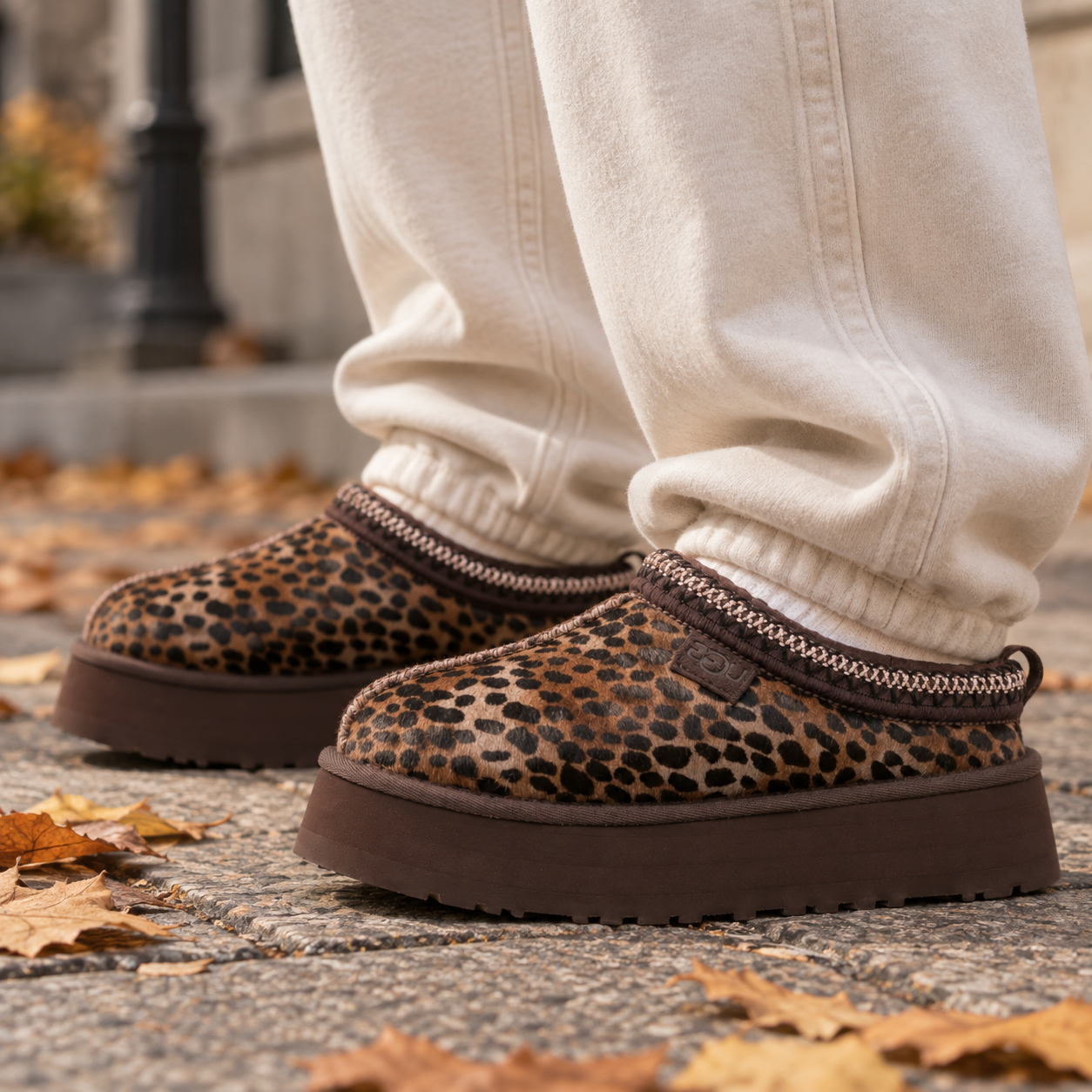 UGG Tazz Caspian